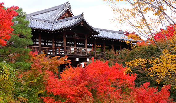 東福寺（とうふくじ）